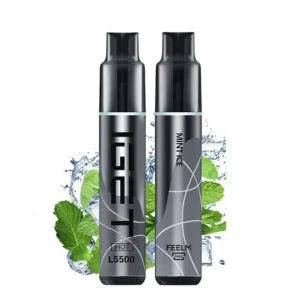 mint ice iget hot 5500 puffs